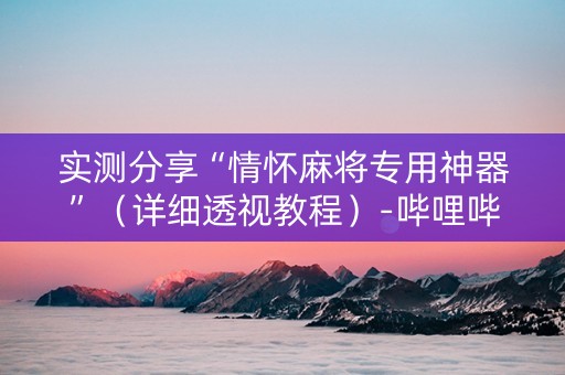 实测分享“情怀麻将专用神器”（详细透视教程）-哔哩哔哩