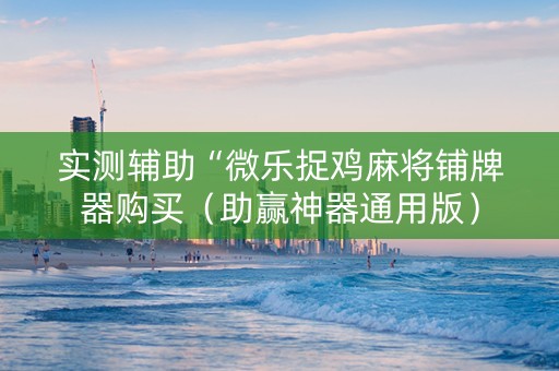 实测辅助“微乐捉鸡麻将铺牌器购买（助赢神器通用版）