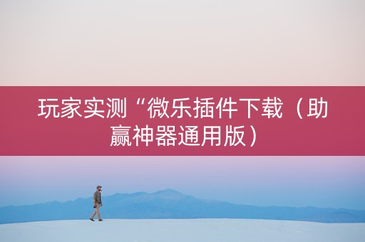 玩家实测“微乐插件下载（助赢神器通用版）