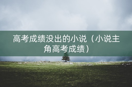 高考成绩没出的小说（小说主角高考成绩）