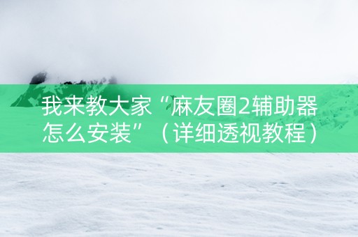 我来教大家“麻友圈2辅助器怎么安装”（详细透视教程）-哔哩哔哩