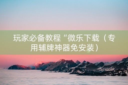 玩家必备教程“微乐下载（专用辅牌神器免安装）
