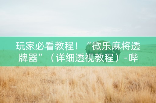 玩家必看教程！“微乐麻将透牌器”（详细透视教程）-哔哩哔哩