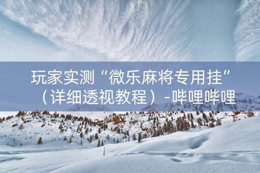 玩家实测“微乐麻将专用挂”（详细透视教程）-哔哩哔哩