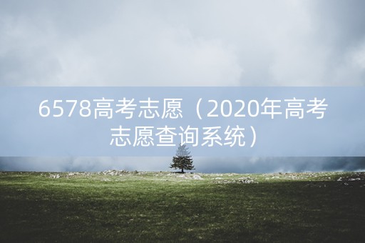 6578高考志愿（2020年高考志愿查询系统）