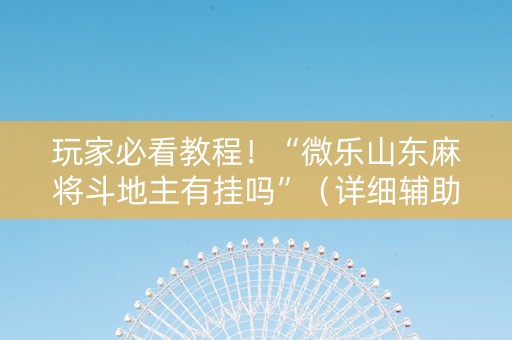 玩家必看教程！“微乐山东麻将斗地主有挂吗”（详细辅助教程）-哔哩哔哩