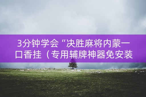 3分钟学会“决胜麻将内蒙一口香挂（专用辅牌神器免安装）