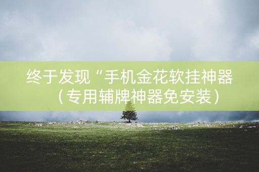 终于发现“手机金花软挂神器（专用辅牌神器免安装）
