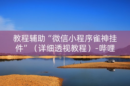 教程辅助“微信小程序雀神挂件”（详细透视教程）-哔哩哔哩
