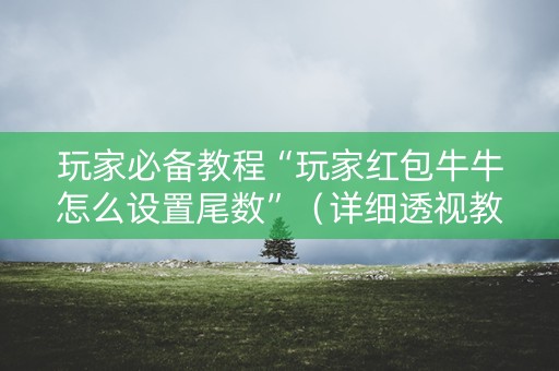 玩家必备教程“玩家红包牛牛怎么设置尾数”（详细透视教程）-哔哩哔哩