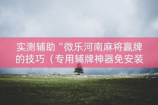 实测辅助“微乐河南麻将赢牌的技巧（专用辅牌神器免安装）