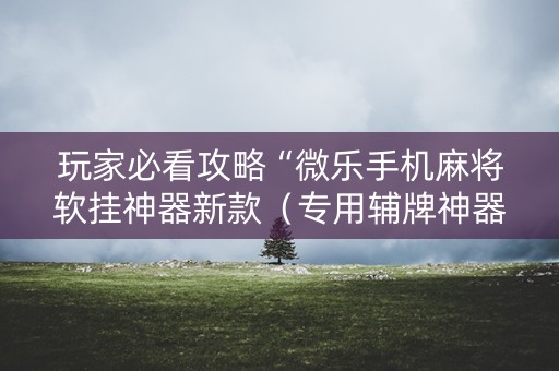 玩家必看攻略“微乐手机麻将软挂神器新款（专用辅牌神器免安装）