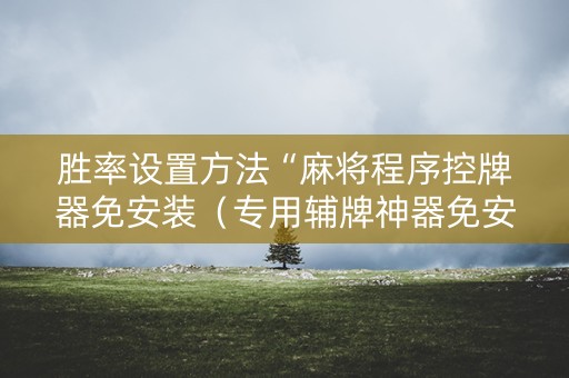胜率设置方法“麻将程序控牌器免安装（专用辅牌神器免安装）