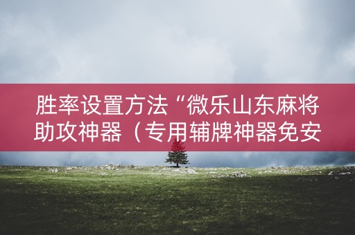 胜率设置方法“微乐山东麻将助攻神器（专用辅牌神器免安装）