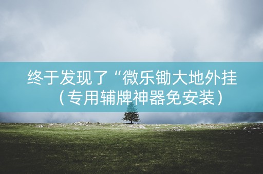 终于发现了“微乐锄大地外挂（专用辅牌神器免安装）