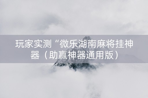 玩家实测“微乐湖南麻将挂神器（助赢神器通用版）