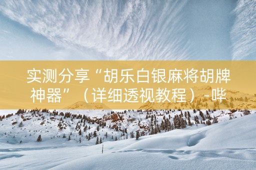 实测分享“胡乐白银麻将胡牌神器”（详细透视教程）-哔哩哔哩