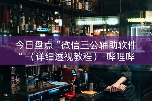 今日盘点“微信三公辅助软件”（详细透视教程）-哔哩哔哩