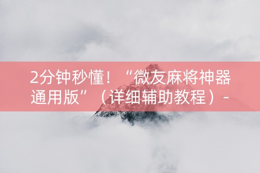 2分钟秒懂！“微友麻将神器通用版”（详细辅助教程）-哔哩哔哩