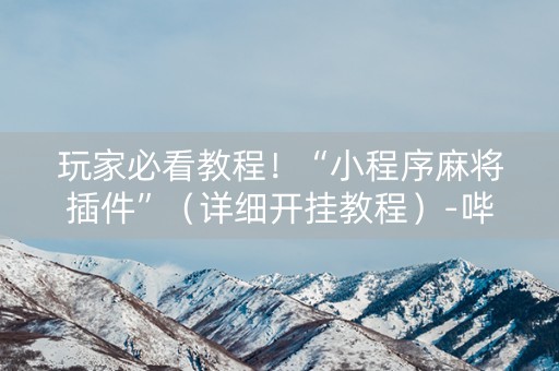 玩家必看教程！“小程序麻将插件”（详细开挂教程）-哔哩哔哩
