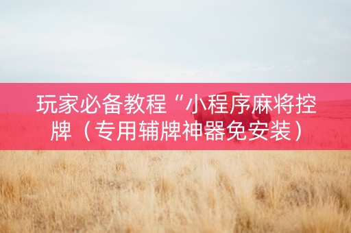 玩家必备教程“小程序麻将控牌（专用辅牌神器免安装）