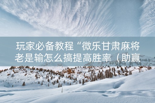 玩家必备教程“微乐甘肃麻将老是输怎么搞提高胜率（助赢神器通用版）