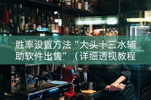 胜率设置方法“大头十三水辅助软件出售”（详细透视教程）-哔哩哔哩
