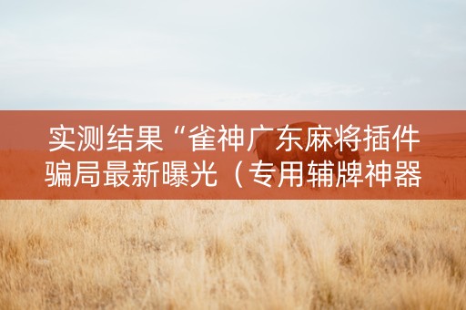 实测结果“雀神广东麻将插件骗局最新曝光（专用辅牌神器免安装）
