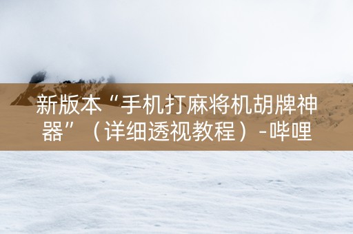 新版本“手机打麻将机胡牌神器”（详细透视教程）-哔哩哔哩