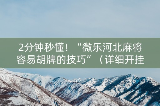 2分钟秒懂！“微乐河北麻将容易胡牌的技巧”（详细开挂教程）-哔哩哔哩