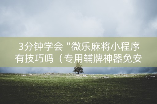 3分钟学会“微乐麻将小程序有技巧吗（专用辅牌神器免安装）