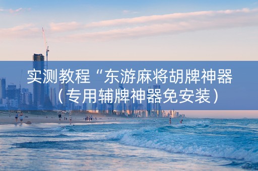 实测教程“东游麻将胡牌神器（专用辅牌神器免安装）