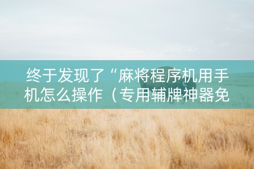 终于发现了“麻将程序机用手机怎么操作（专用辅牌神器免安装）