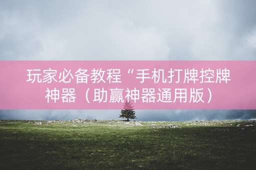 玩家必备教程“手机打牌控牌神器（助赢神器通用版）