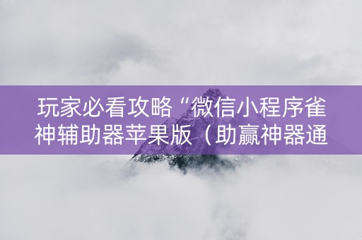 玩家必看攻略“微信小程序雀神辅助器苹果版（助赢神器通用版）
