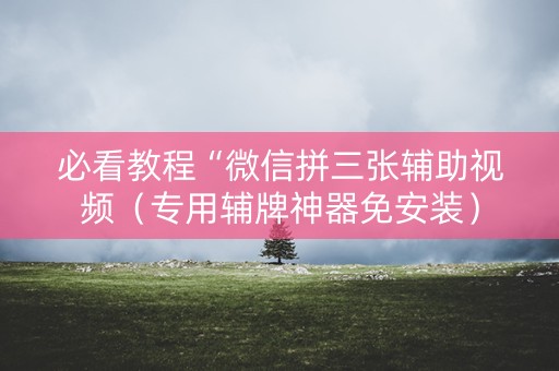 必看教程“微信拼三张辅助视频（专用辅牌神器免安装）