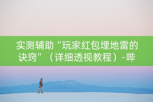 实测辅助“玩家红包埋地雷的诀窍”（详细透视教程）-哔哩哔哩