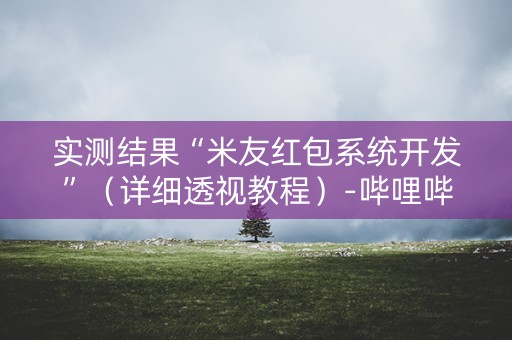 实测结果“米友红包系统开发”（详细透视教程）-哔哩哔哩