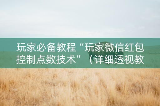 玩家必备教程“玩家微信红包控制点数技术”（详细透视教程）-哔哩哔哩
