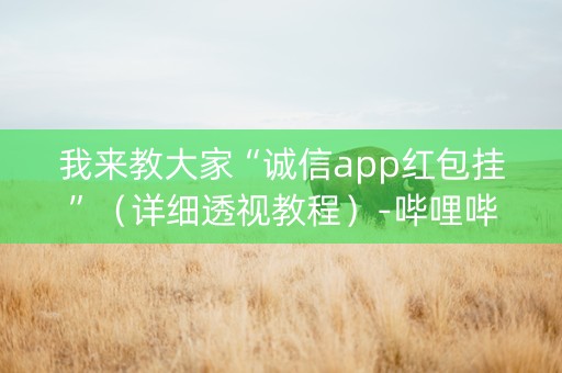 我来教大家“诚信app红包挂”（详细透视教程）-哔哩哔哩