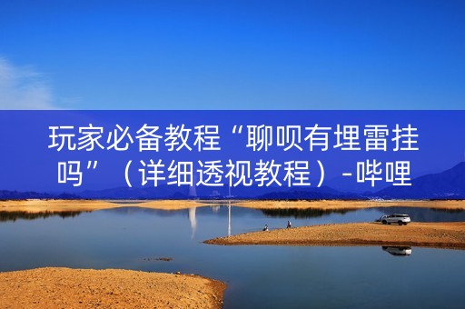 玩家必备教程“聊呗有埋雷挂吗”（详细透视教程）-哔哩哔哩