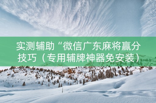 实测辅助“微信广东麻将赢分技巧（专用辅牌神器免安装）