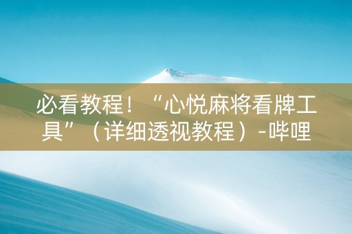 必看教程！“心悦麻将看牌工具”（详细透视教程）-哔哩哔哩