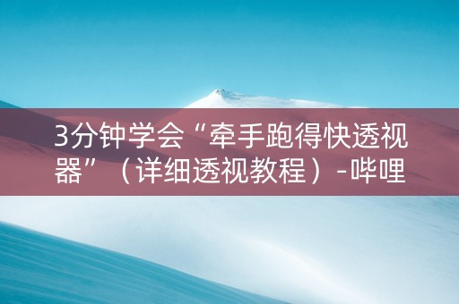 3分钟学会“牵手跑得快透视器”（详细透视教程）-哔哩哔哩