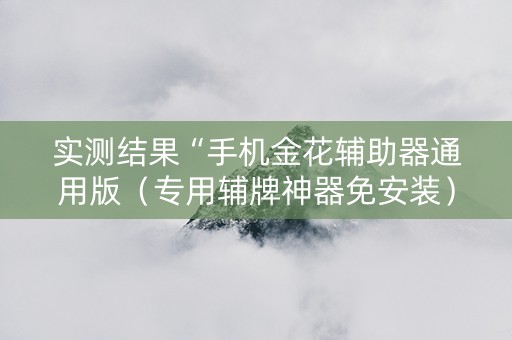 实测结果“手机金花辅助器通用版（专用辅牌神器免安装）