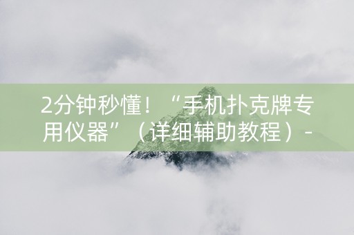 2分钟秒懂！“手机扑克牌专用仪器”（详细辅助教程）-哔哩哔哩