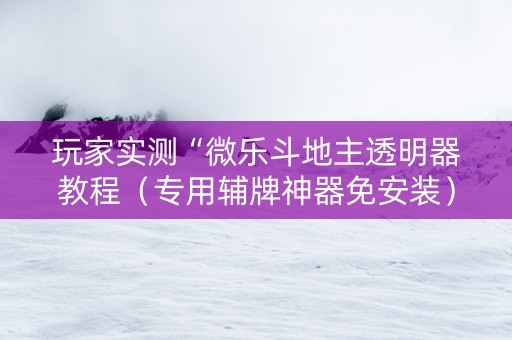 玩家实测“微乐斗地主透明器教程（专用辅牌神器免安装）