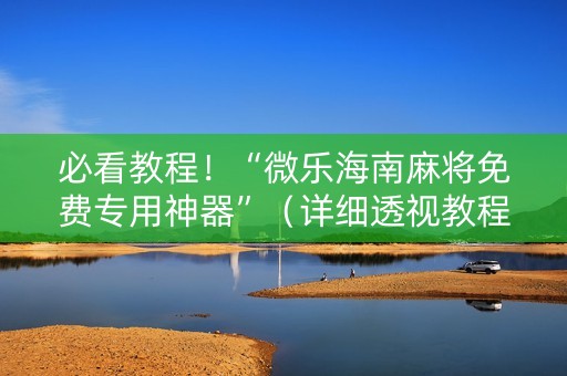 必看教程！“微乐海南麻将免费专用神器”（详细透视教程）-哔哩哔哩