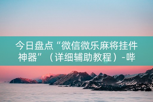 今日盘点“微信微乐麻将挂件神器”（详细辅助教程）-哔哩哔哩