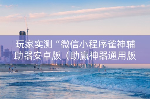 玩家实测“微信小程序雀神辅助器安卓版（助赢神器通用版）